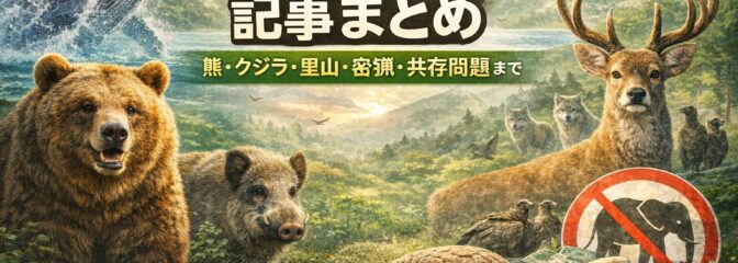 野生動物と共存