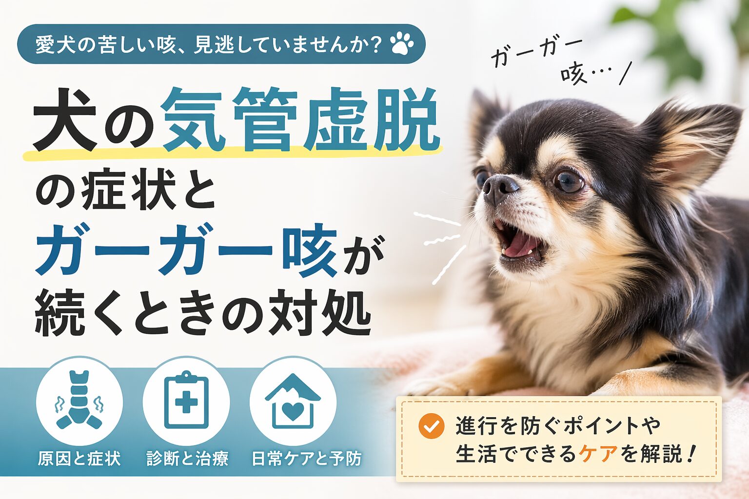 犬の気管虚脱の症状とガーガー咳が続くときの対処法