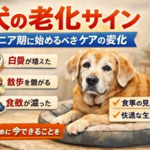犬の老化サインとシニア期に始めるべきケアの変化｜愛犬の変化を見逃さないために