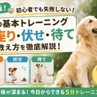 犬のしつけ「お座り・伏せ・待て」の基本トレーニング方法｜科学的根拠と動物福祉の視点から徹底解説