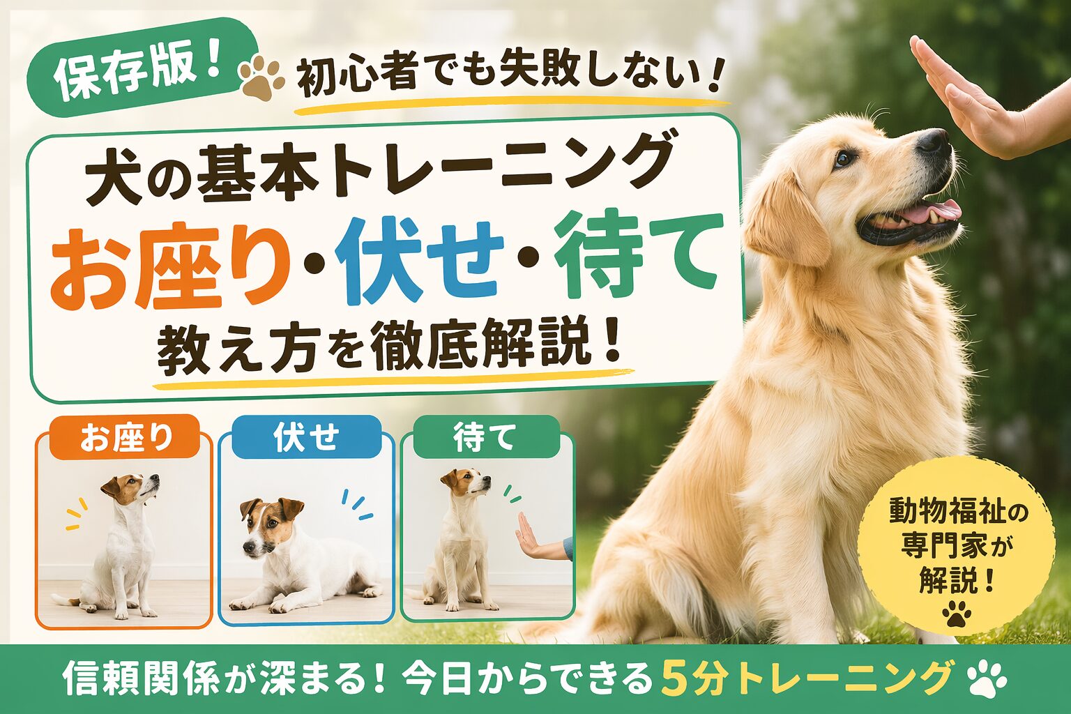 犬のしつけ「お座り・伏せ・待て」の基本トレーニング方法