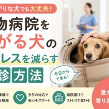 動物病院を怖がる犬のストレスを減らす受診方法｜専門家が教える完全ガイド