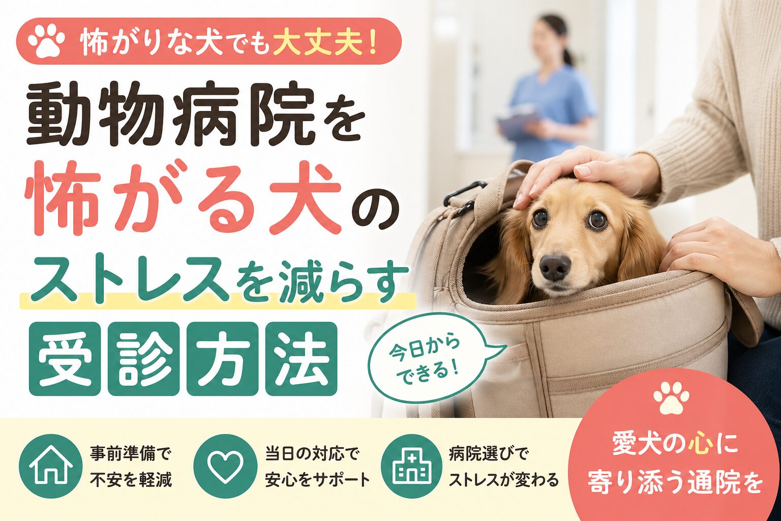 動物病院を怖がる犬のストレスを減らす受診方法