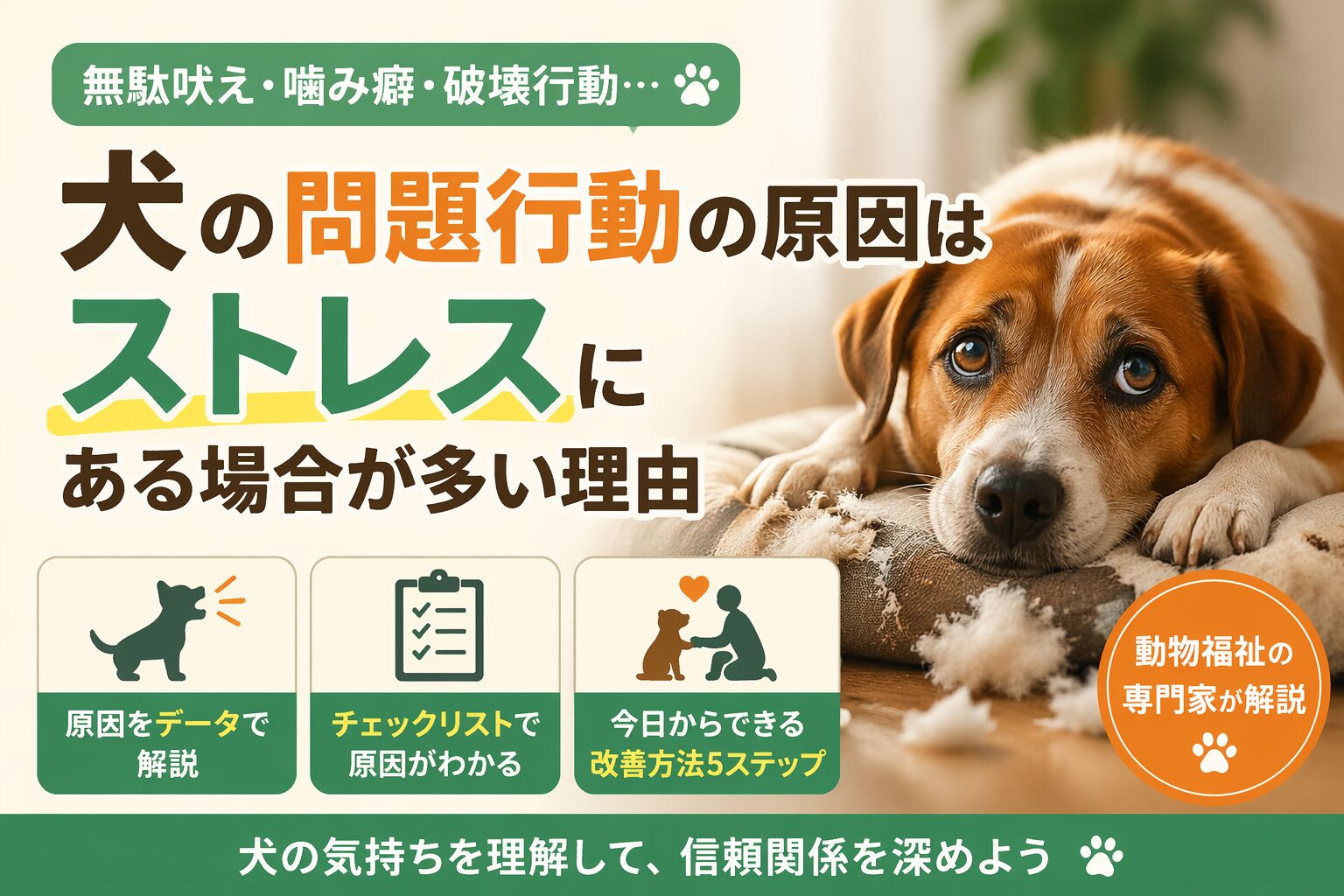 犬の問題行動の原因はストレスにある場合が多い理由