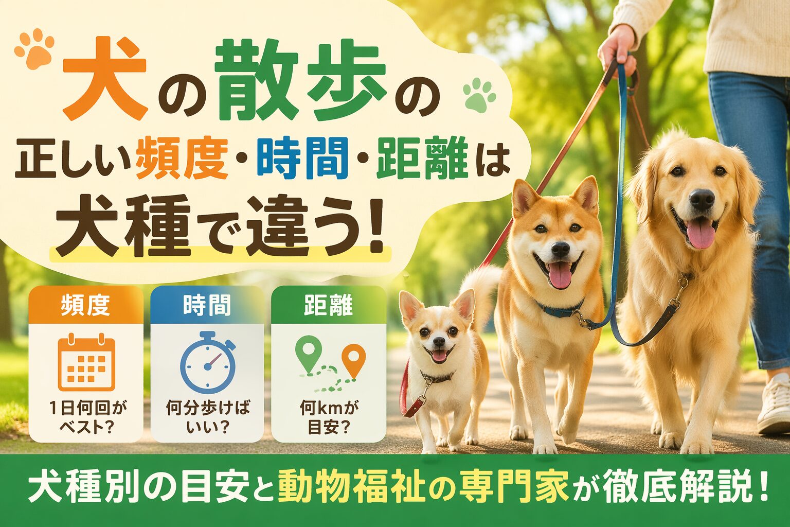 犬の散歩の正しい頻度・時間・距離