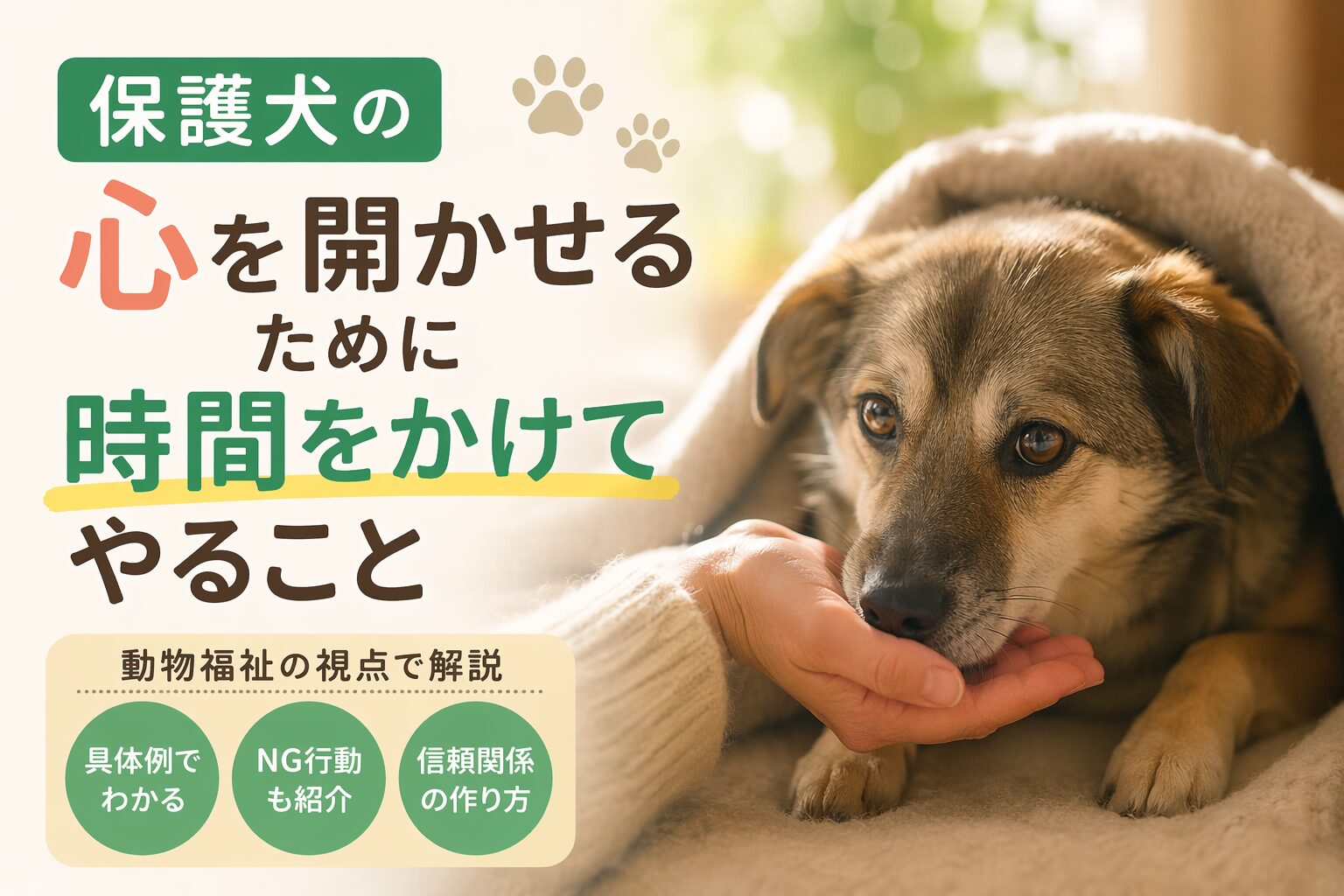 保護犬の心を開かせるために時間をかけてやること