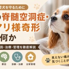 犬の脊髄空洞症・チアリ様奇形とは？症状・原因・管理まで獣医師監修レベルで徹底解説