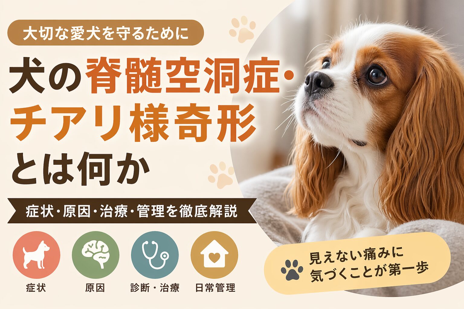 犬の脊髄空洞症・チアリ様奇形とは