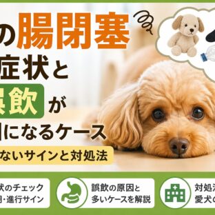 犬の腸閉塞の症状と誤飲が原因になるケース｜早期発見が命を救う
