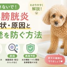 犬の膀胱炎の症状・原因と再発を防ぐ方法｜動物福祉の視点から徹底解説