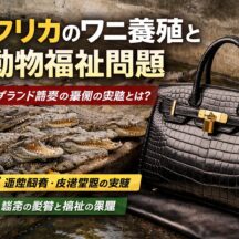 アフリカのワニ養殖産業と動物福祉問題｜高級ブランドの裏に潜む爬虫類の苦境