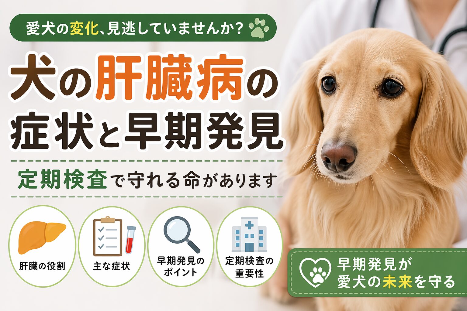 犬の肝臓病の症状と早期発見のための定期検査