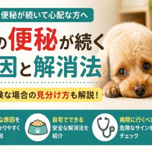 犬の便秘が続く原因と解消法・危険な場合の見分け方【獣医師監修レベルの完全ガイド】