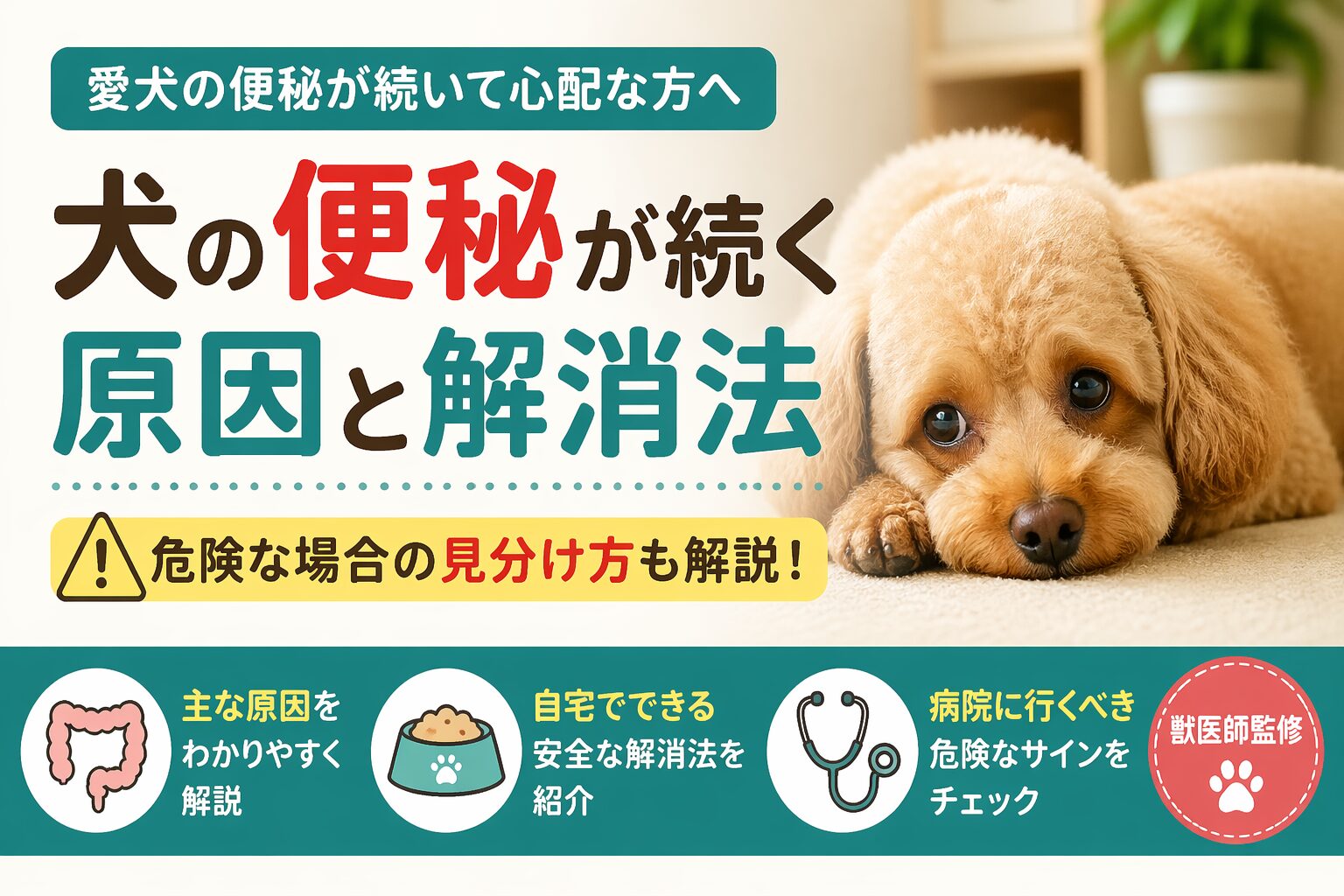 犬の便秘が続く原因と解消法・危険な場合の見分け方