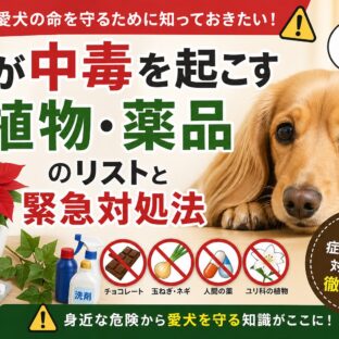 犬が中毒を起こす植物・薬品リスト完全版｜緊急対処法と予防策を獣医師監修レベルで解説
