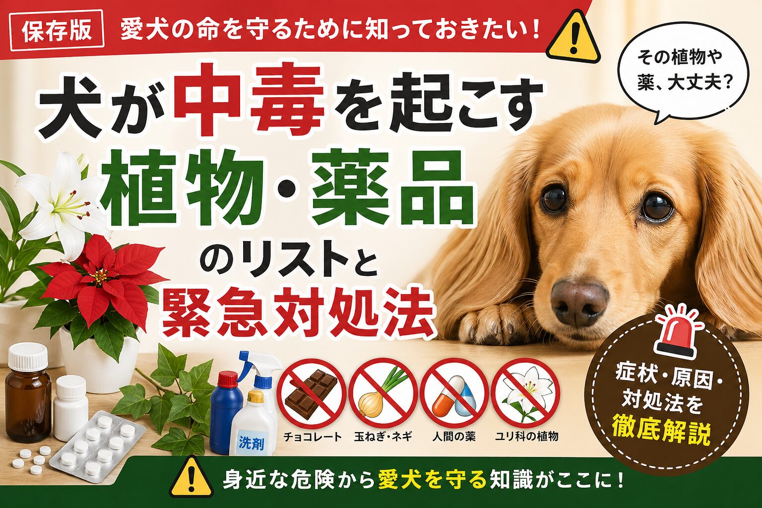 犬が中毒を起こす植物・薬品リスト