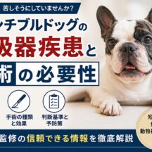 フレンチブルドッグの呼吸器疾患と手術の必要性｜命を守る選択肢を正しく知る