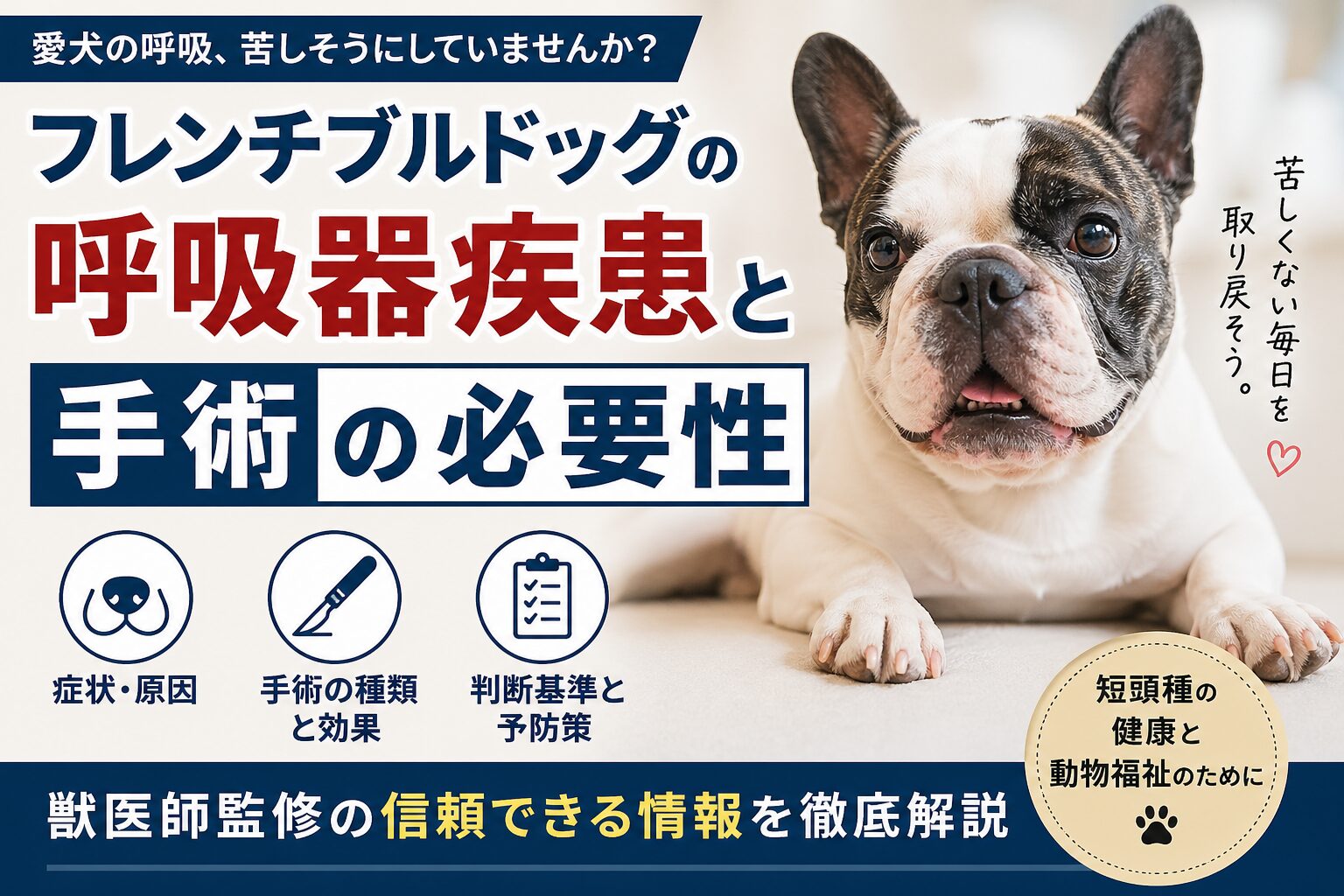 フレンチブルドッグの呼吸器疾患と手術の必要性