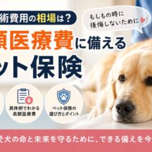 犬の手術費用の相場はいくら？高額医療費に備えるペット保険の選び方を徹底解説