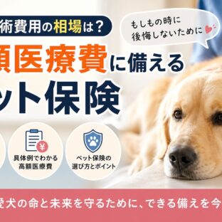 犬の手術費用の相場はいくら？高額医療費に備えるペット保険の選び方を徹底解説