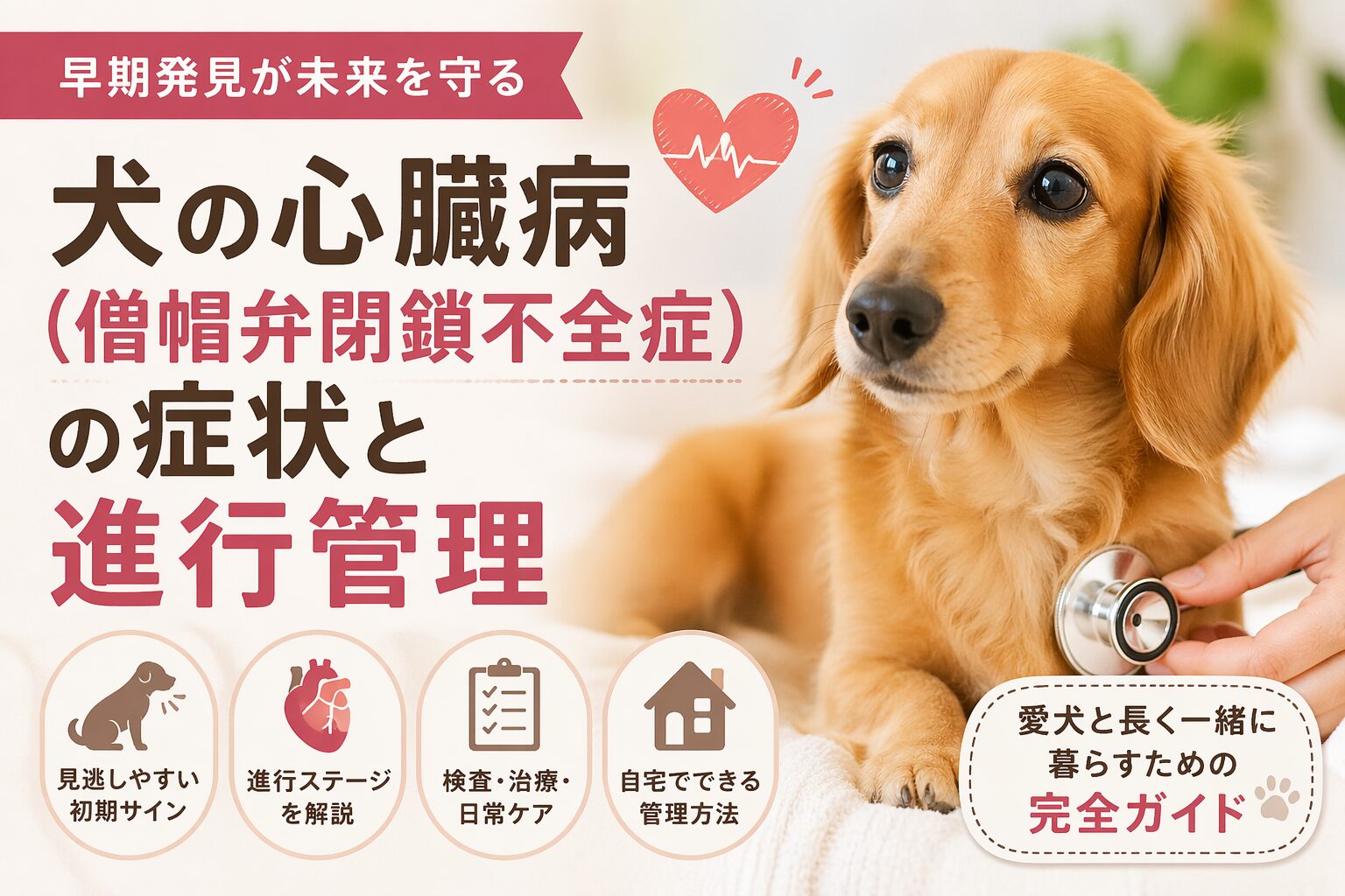 犬の心臓病「僧帽弁閉鎖不全症」