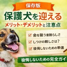 保護犬を迎えるメリット・デメリットと注意点｜後悔しないために知っておくべきこと