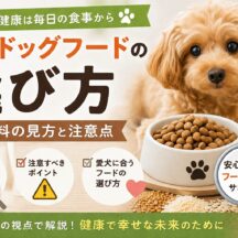 【獣医師監修】ドッグフードの選び方完全ガイド｜原材料の見方と注意点を徹底解説