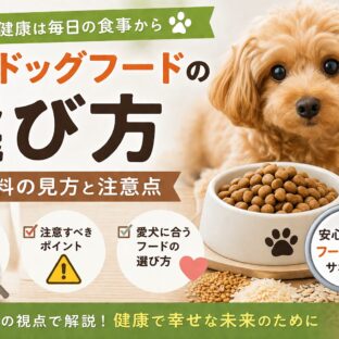 【獣医師監修】ドッグフードの選び方完全ガイド｜原材料の見方と注意点を徹底解説