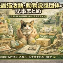 保護猫活動・動物愛護団体の記事まとめ｜支援・譲渡・地域猫・寄付・現場課題まで学べるハブページ