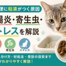 猫の便に粘液がつく原因｜大腸炎・寄生虫・ストレスを徹底解説