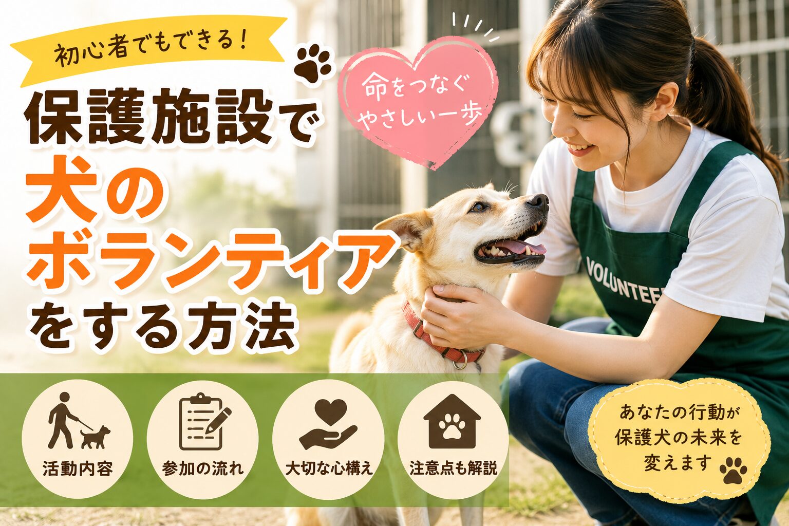 保護施設（シェルター）で犬のボランティアをする方法
