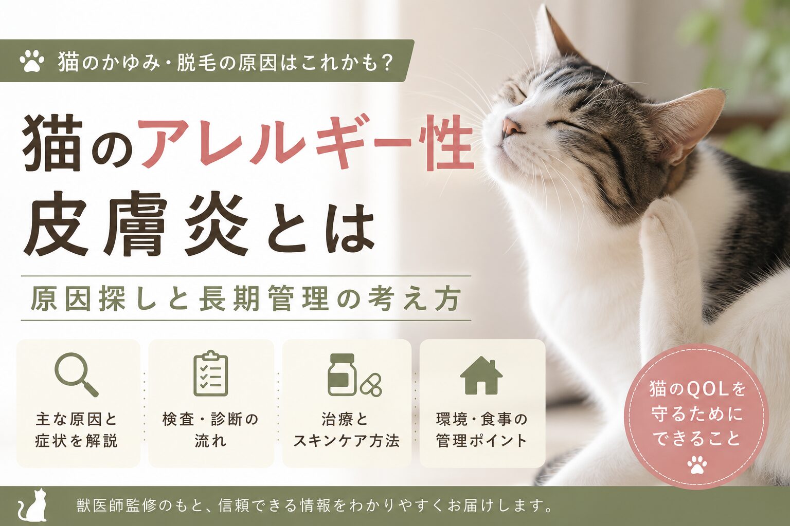 猫のアレルギー性皮膚炎とは