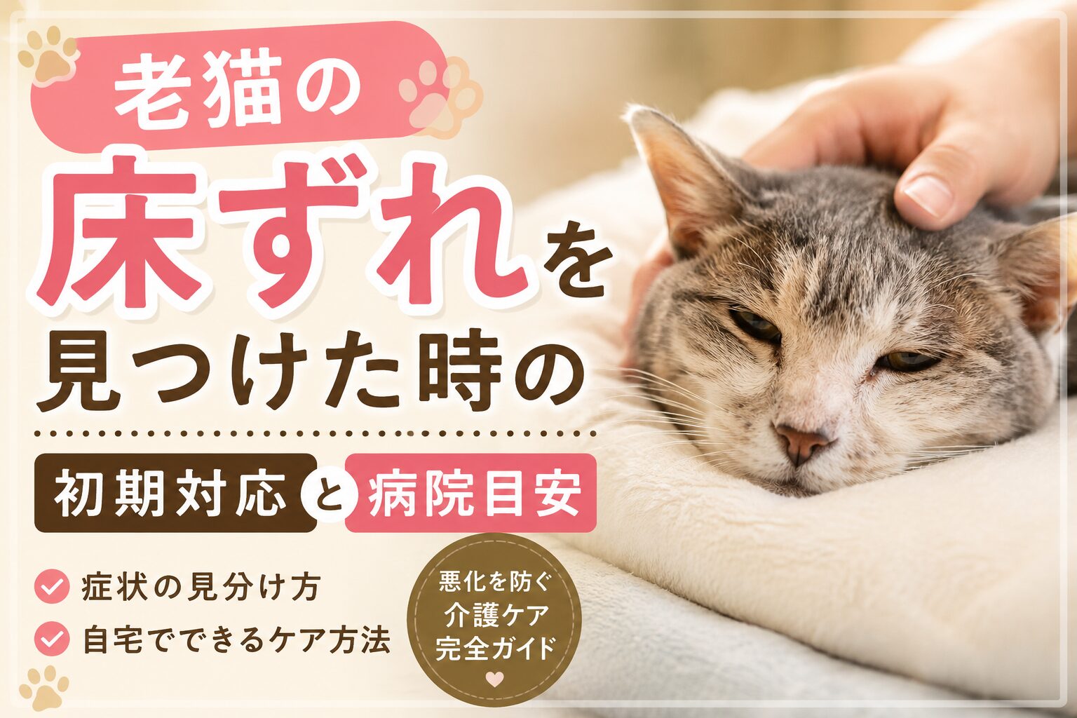 老猫の床ずれを見つけた時の初期対応と病院に行く目安