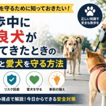 散歩中に野良犬が寄ってきたときの対応と愛犬を守る方法｜専門家が解説する安全行動マニュアル