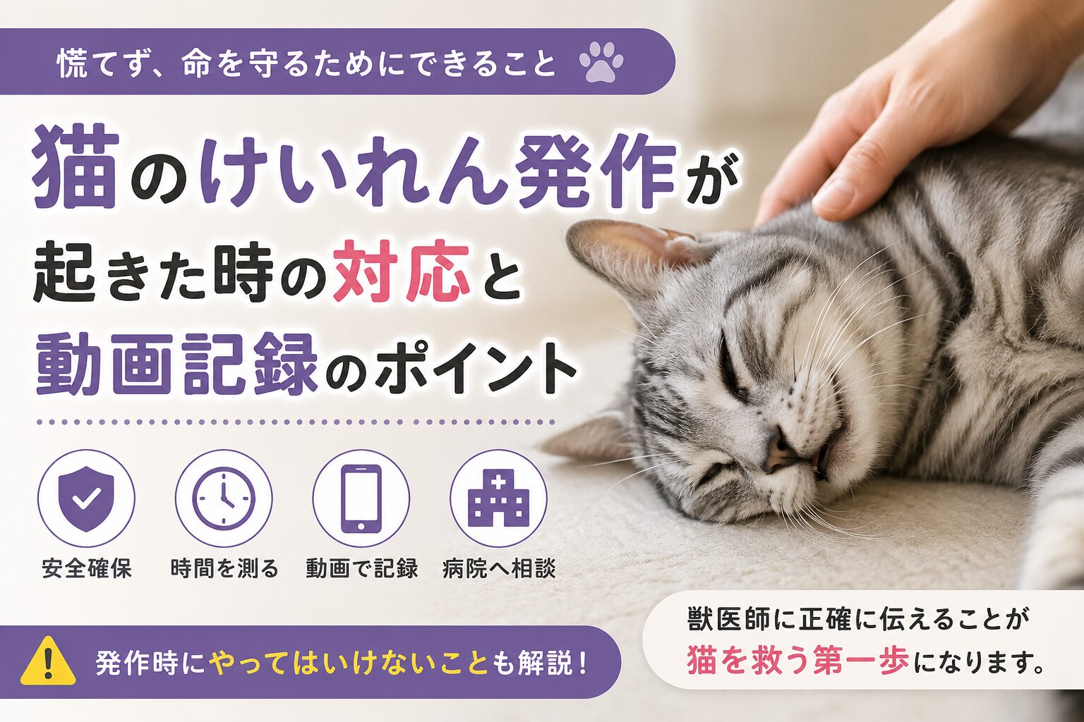 猫のけいれん発作が起きた時