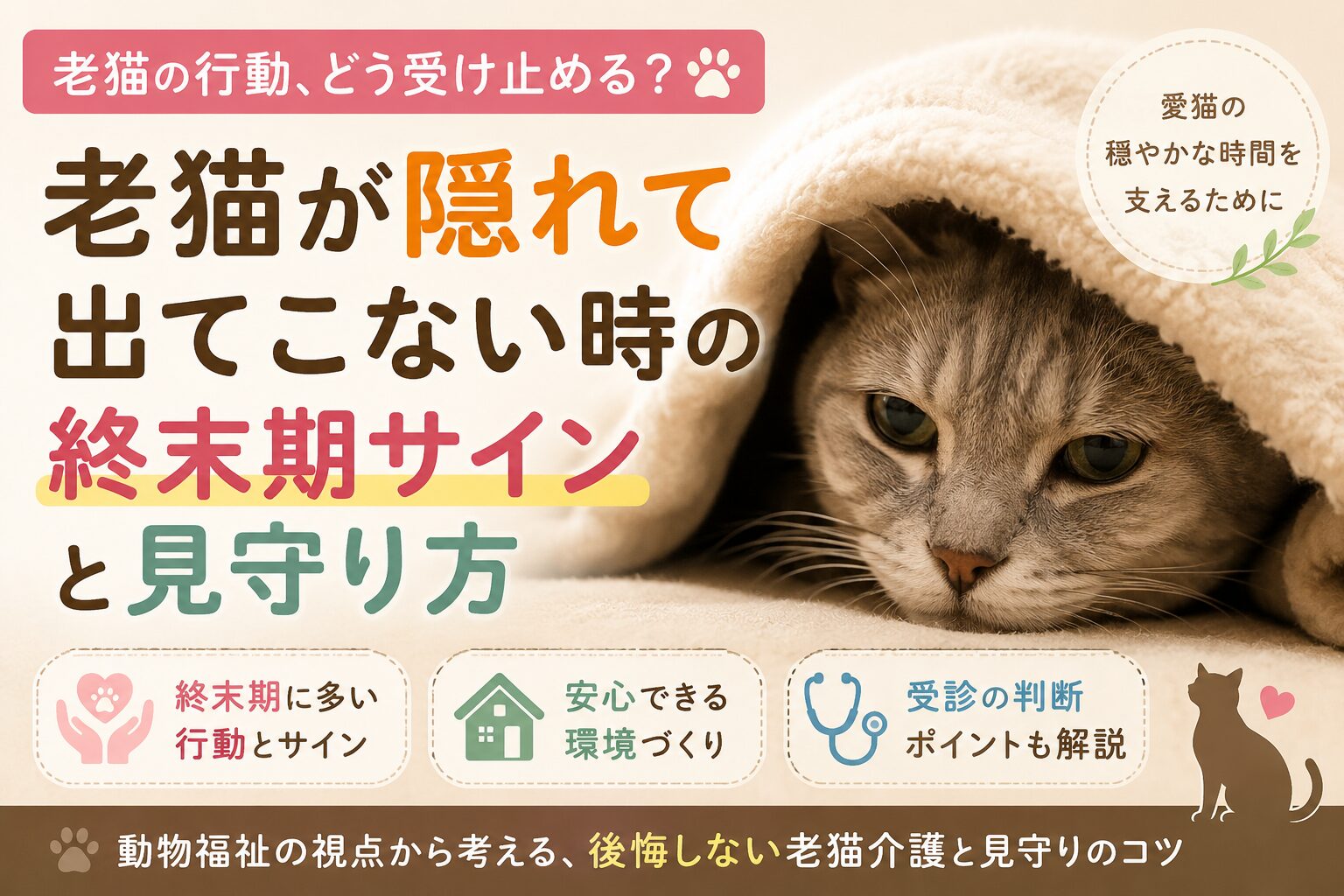 老猫が隠れて出てこない時の終末期サインと正しい見守り方