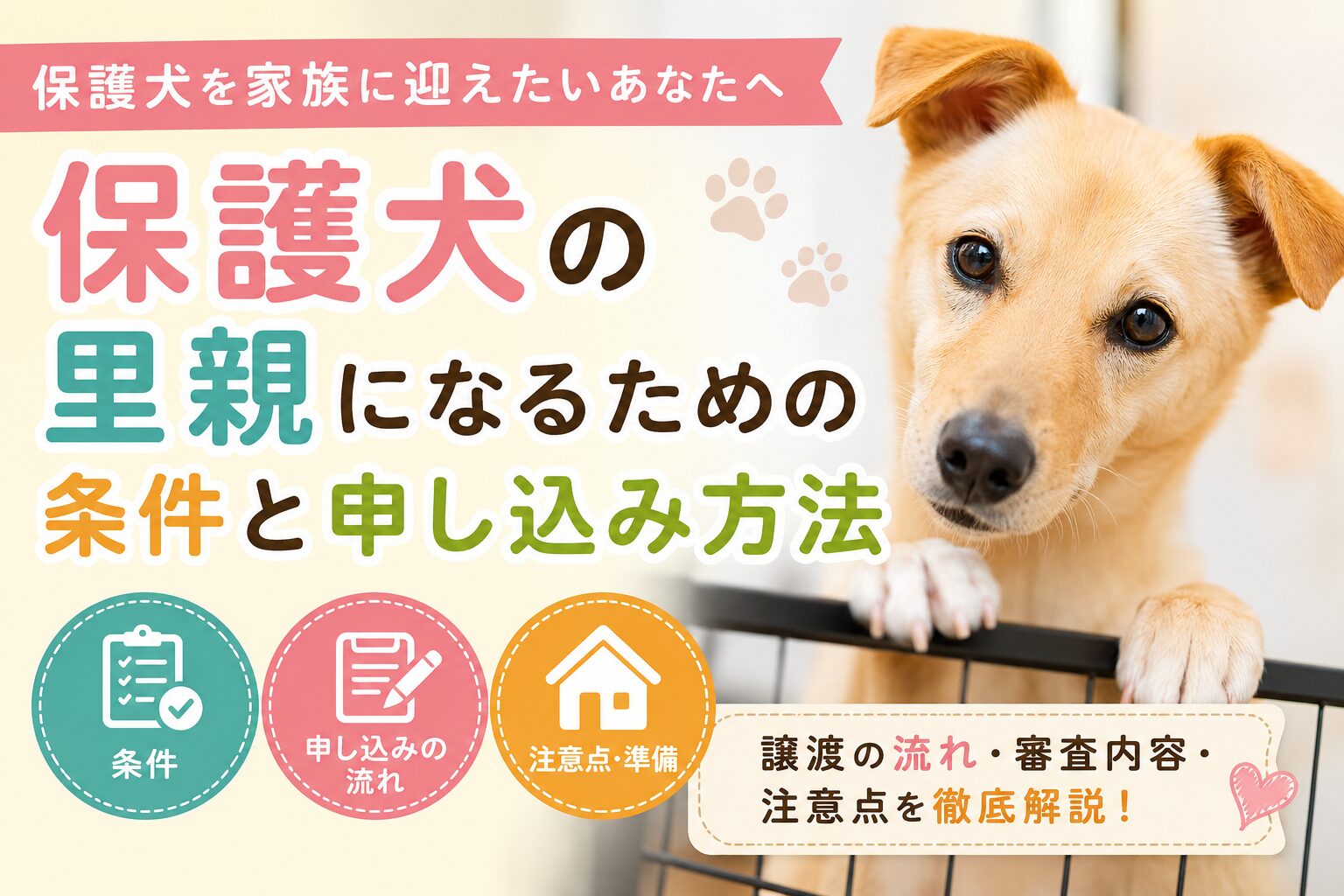 保護犬の里親になるための条件と申し込み方法