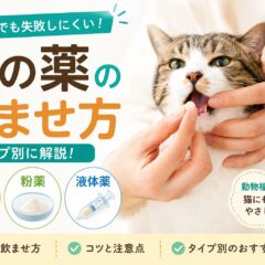 猫の薬の飲ませ方完全ガイド｜錠剤・粉薬・液体薬をタイプ別に解説