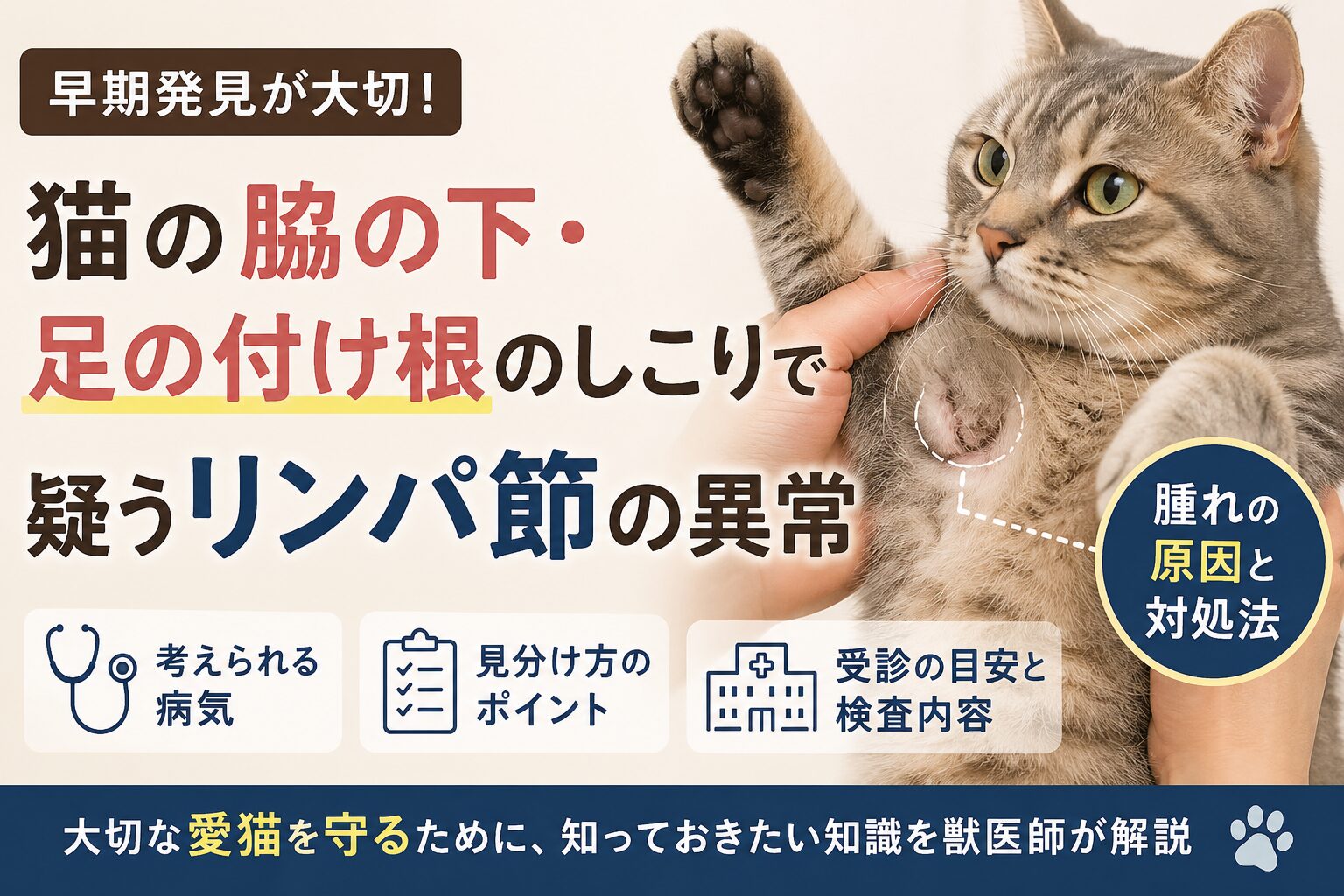 猫の脇の下・足の付け根にしこり