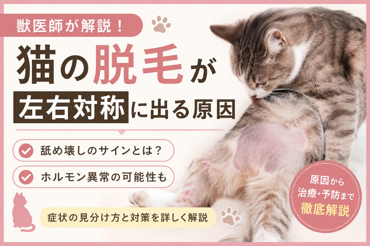 猫の脱毛が左右対称に出る原因