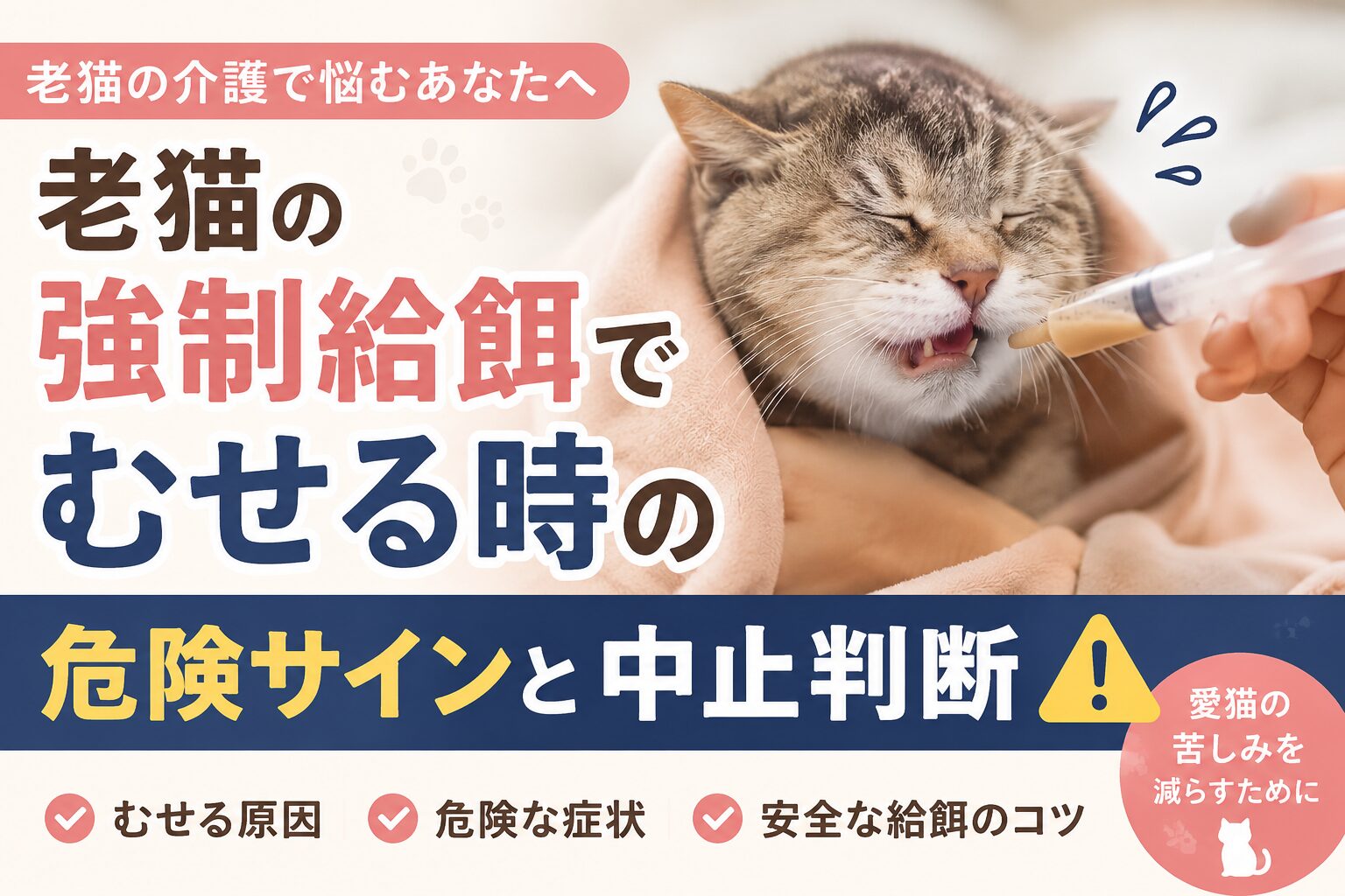 老猫の強制給餌でむせる時の危険サインと中止判断