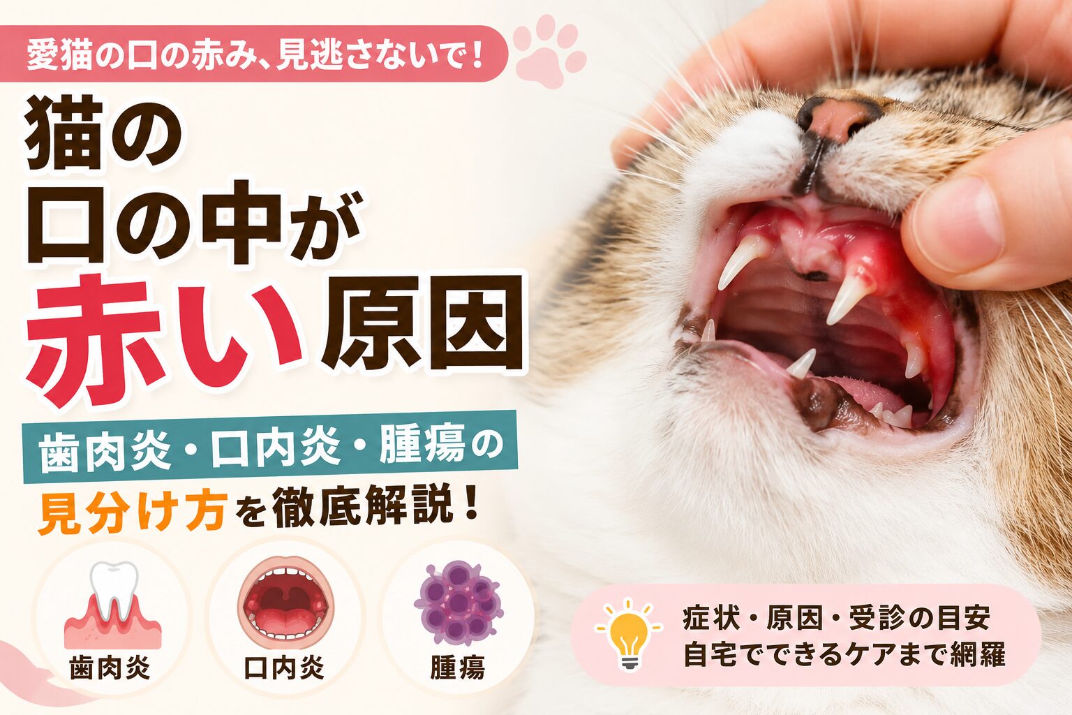 猫の口の中が赤い原因