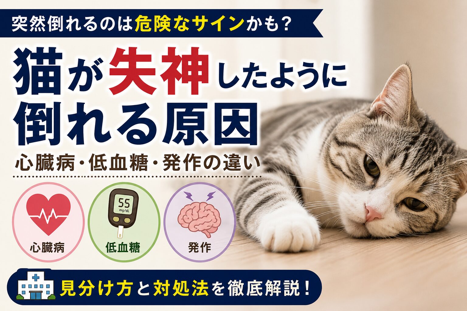 猫が失神したように倒れる原因