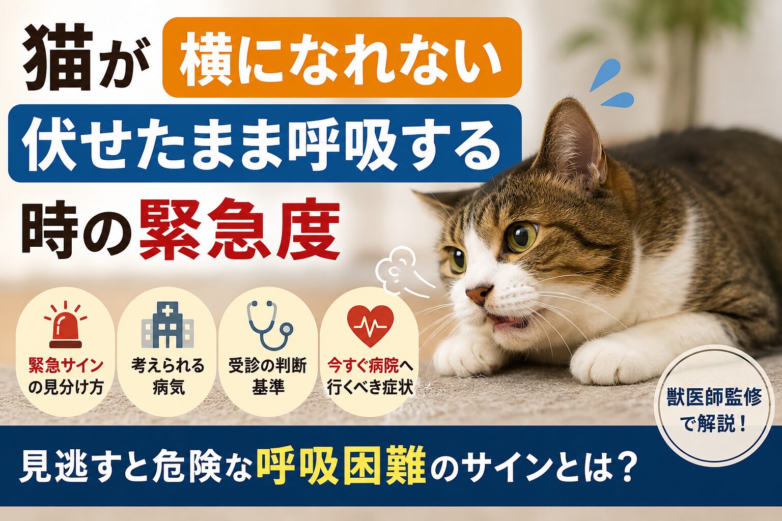 猫が横になれない・伏せたまま呼吸する時の緊急度