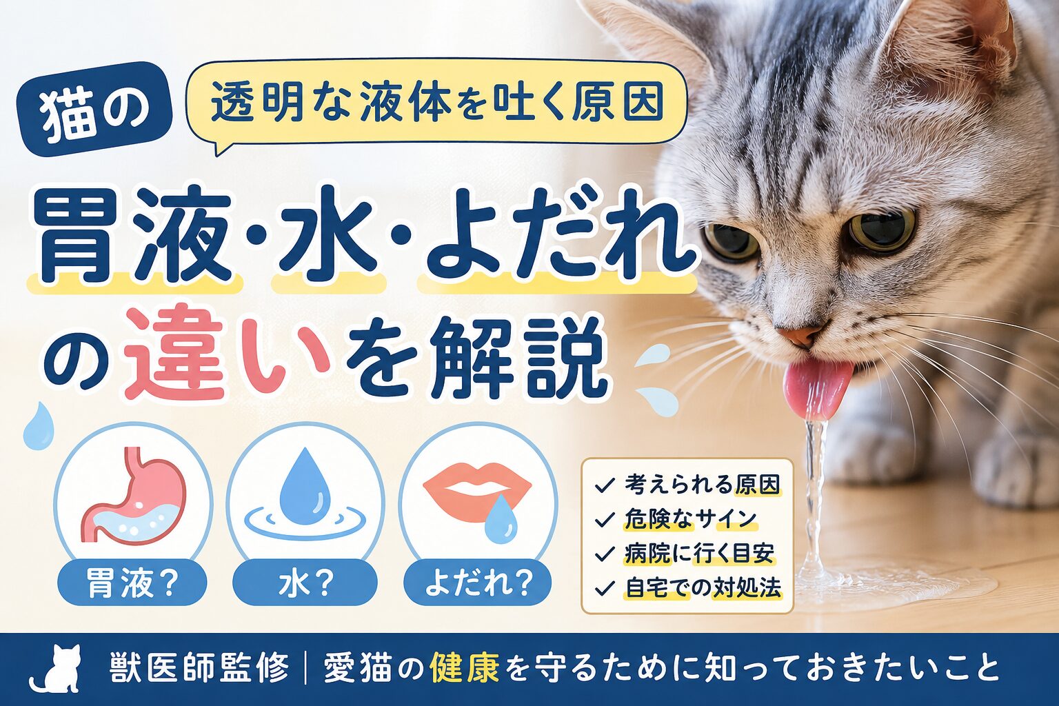 猫が透明な液体を吐く原因