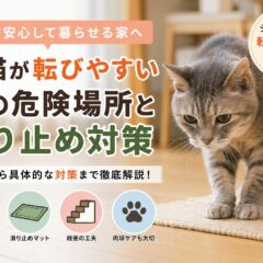 老猫が転びやすい家の危険場所と滑り止め対策｜シニア猫を守る室内環境ガイド