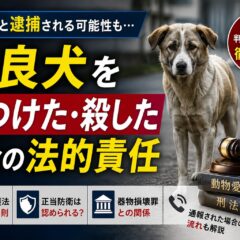 野良犬を傷つけた・殺した場合の法的責任｜動物愛護法の罰則と「愛護動物」の定義を徹底解説