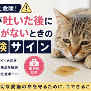 猫が吐いた後に元気がない…それ、危険サインかもしれません【獣医師監修レベルの完全ガイド】