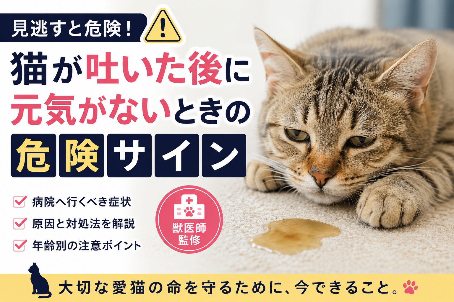 猫が吐いた後に元気がない