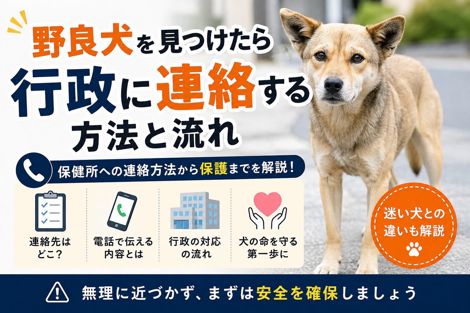 野良犬を見つけたときに行政に連絡する方法と流れ